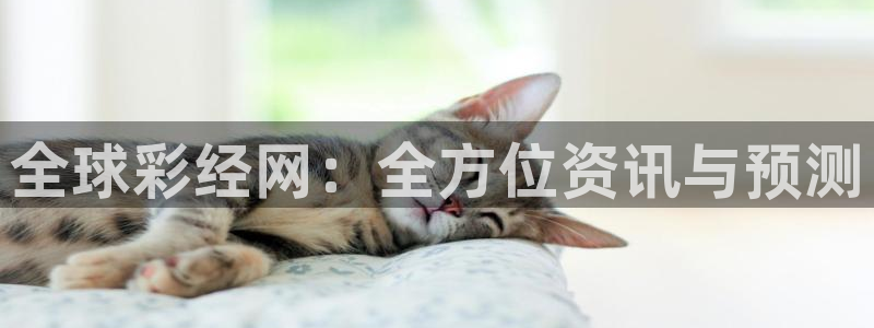 jdb电子在线登录