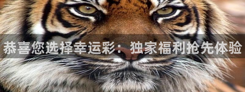 jdb容易赢的游戏：恭喜您选择幸运彩：独家福利抢先体验