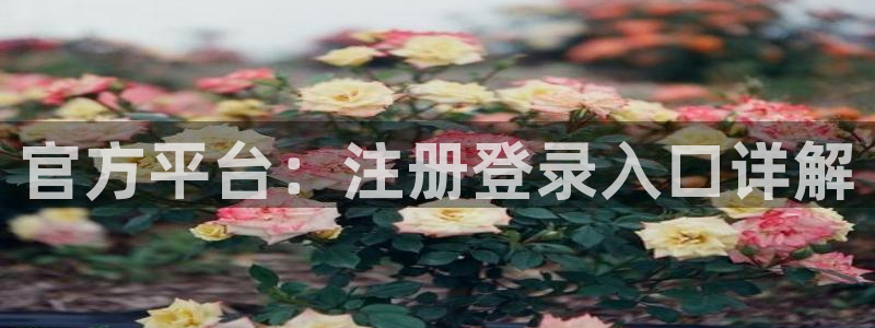jdb电子网站：官方平台：注册登录入口详解